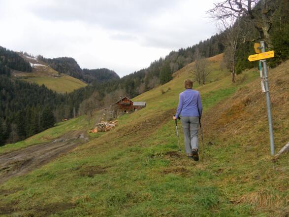 Seitenalm und Rocherhütte