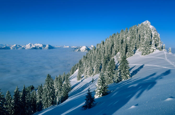 Blick auf den Hochlerch an einem strahlenden Wintertag