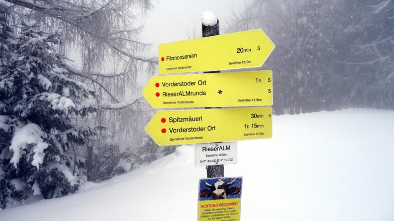 Rieseralm 1270m