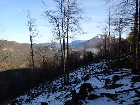 Ausblick zum Schafberg
