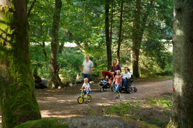 Barrierearmer Wanderweg im Otterbachtal
