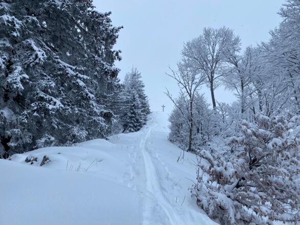 Am Grat / Rücken entlang zum Zwölferhorn Gipfel