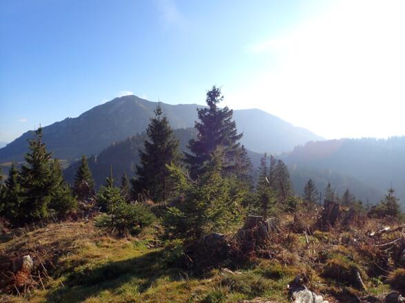 Am Südostrücken, Blick zum Braunedlkogel