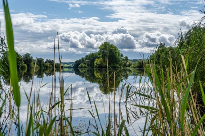 Donauinsel Windorf, die längste Flussinsel Deutschlands