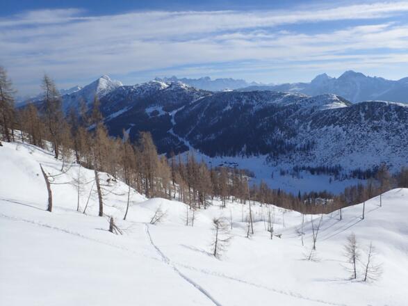 Ausblick Richtung Dachstein