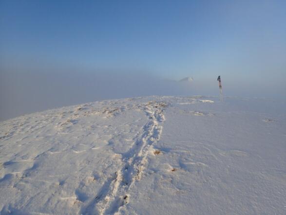 Faistenauer Schafberg
