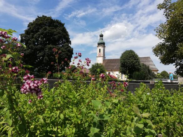 Kräuterbeete am Dorfbach Lenggries mit Pfarrkirche St. Jakob