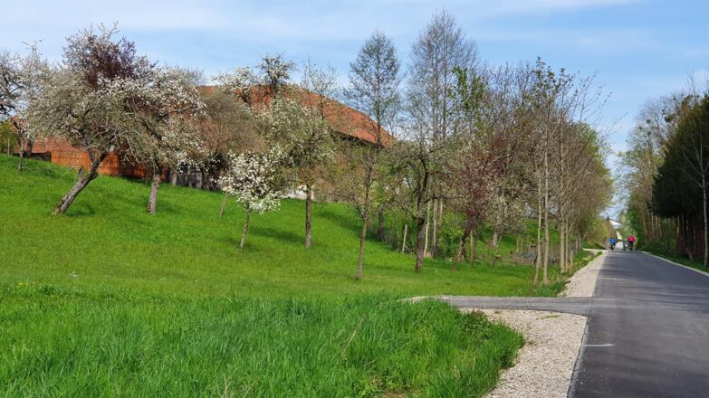Haager-Lies-Radweg