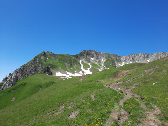 Wanderweg hinauf Richtung Gehrengrat - den Gehrengrat immer Blick