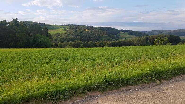 Jurahöhe nördliche Fränkische Schweiz