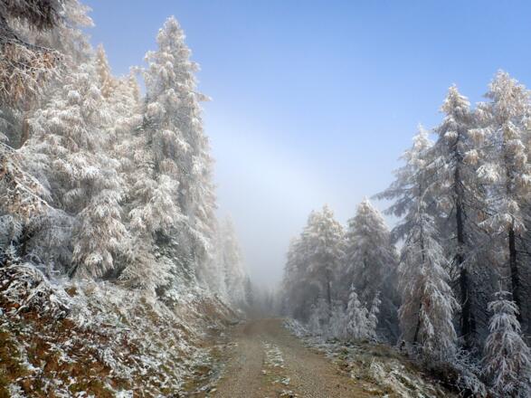 Raus aus dem Nebel