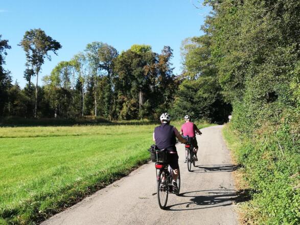 Im Ampertal zwischen Langenbach und Inkofen