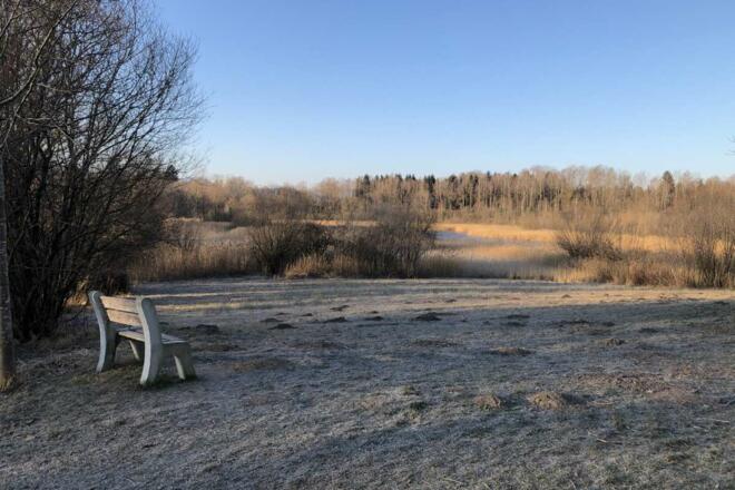 Frost am Tonwerkweiher
