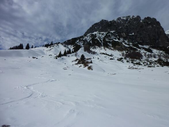 Bei der Stegmoosalm