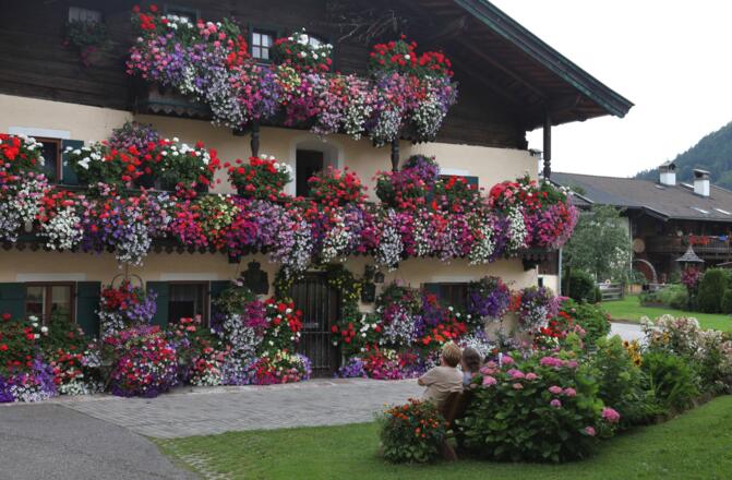 Blumenhaus in Scheffsnoth