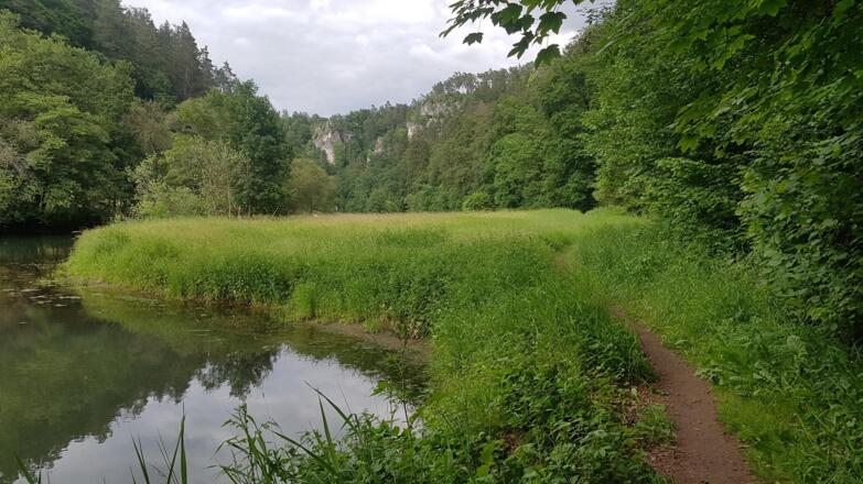 Wiesenttal bei Rabeneck