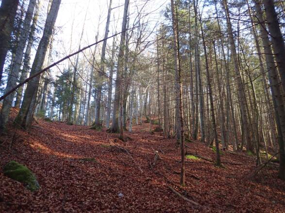 Weglos und steil