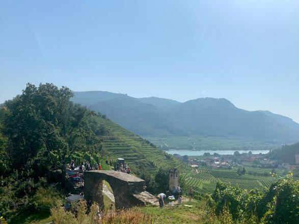 Das Rote Tor in Spitz an der Donau