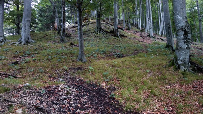 Schlussanstieg am breiten Kamm.