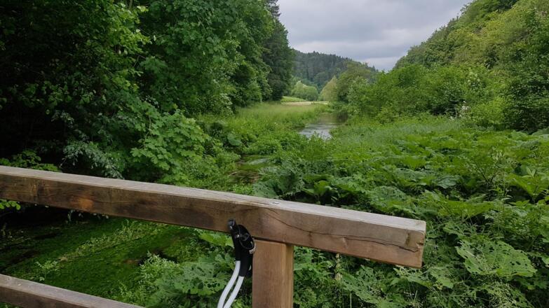Trubachtal
