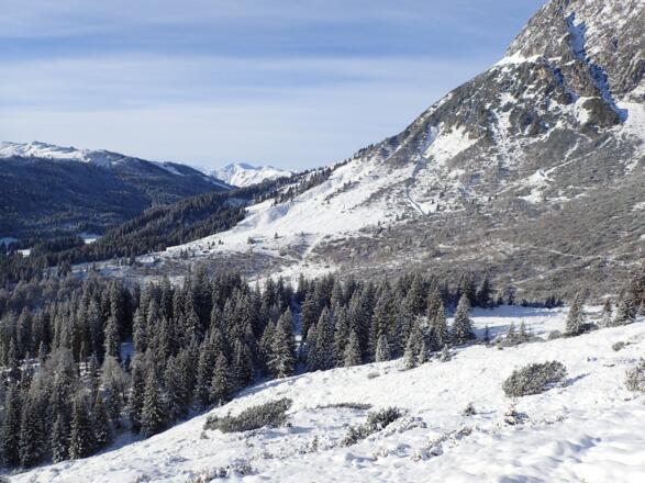 Blick zurück zur Stegmoosalm