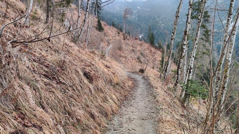 Abstieg Steinalm über Normalweg