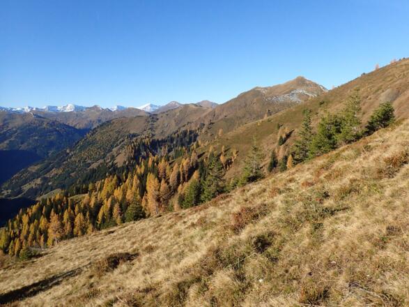 Bilderbuch-Herbsttag