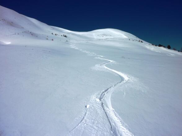 Zwischen Stubennock und Sauereggnock