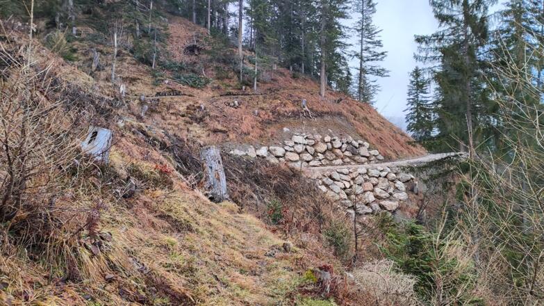 Kreuzung mit zweitem Forstweg - über der Steinmauer sieht man den Überlackerweg