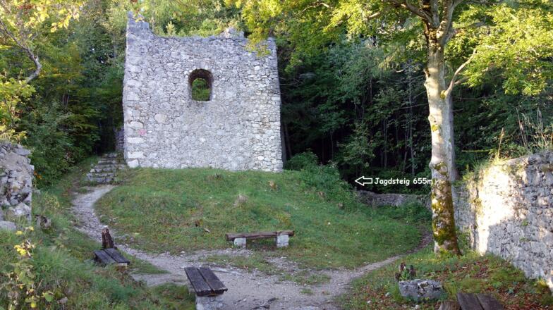 Areal Ruine Schharnstein, nach Turm links ab (~655m)
