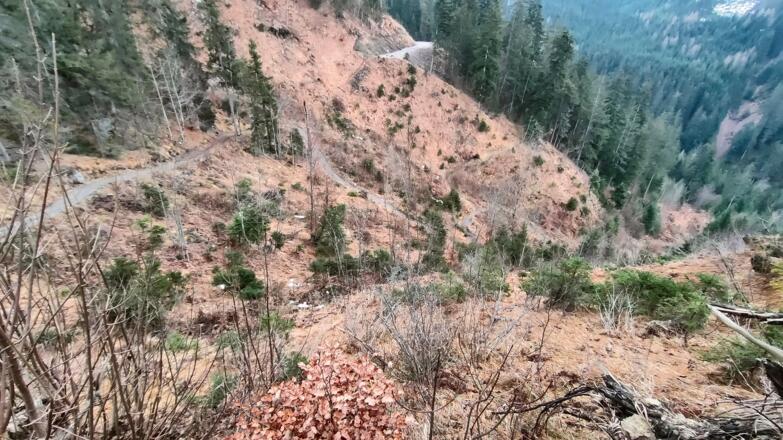 Serpentinen im Normalweg Steinalm