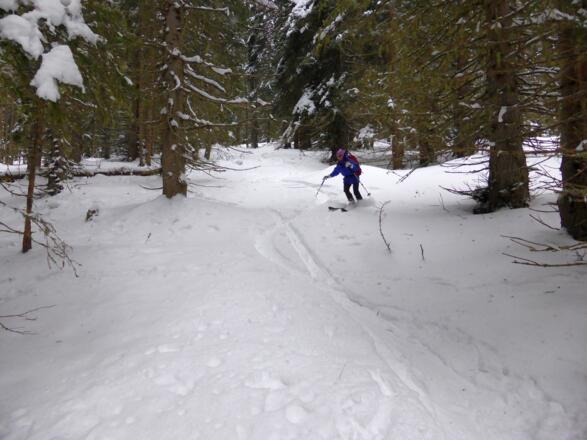 Im Hochwald