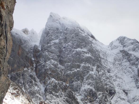 Bratschenkopf Westwand