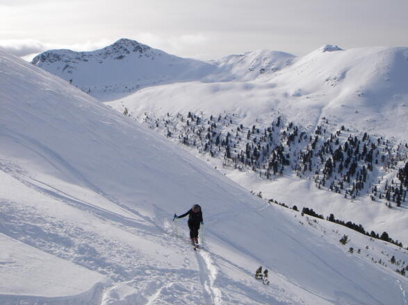 Großer Königstuhl, Friesenhalshöhe und Seenock