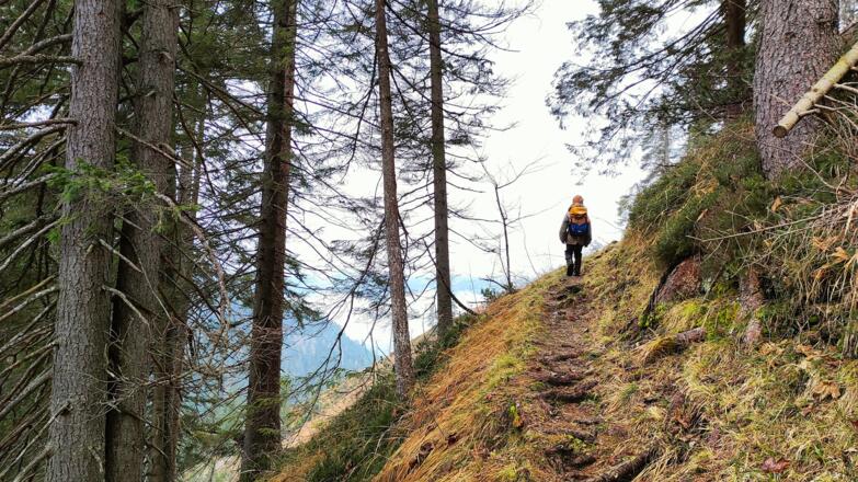 Verbindungssteig Steinkarlweg