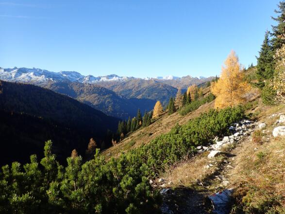 Am Weg Richtung Draugsteintörl