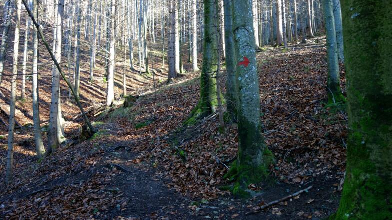 Einstieg Jagasteig, rote Punkte ab 550m