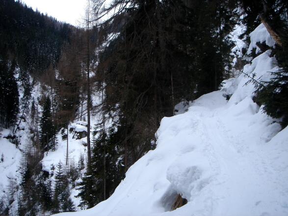 Am schmalen Steig oberhalb vom Karthäusenbach