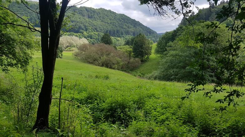 Trubachtal