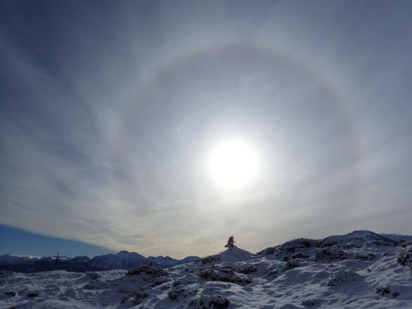 Halo