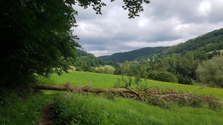 Trubachtal