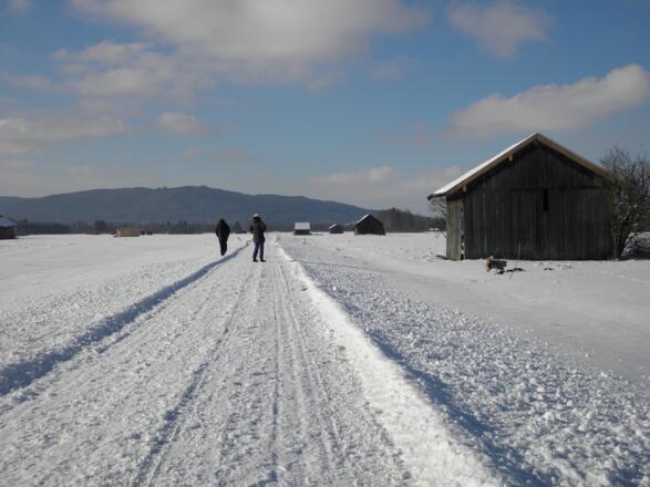 Ein sonniger Wintertag auf dem Moosrundweg zu Benediktbeuern