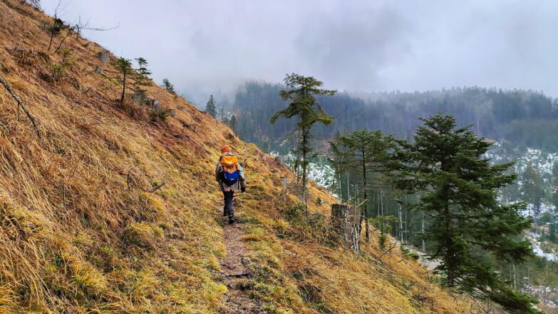 Überlackerweg mit Blick auf Kalmbach