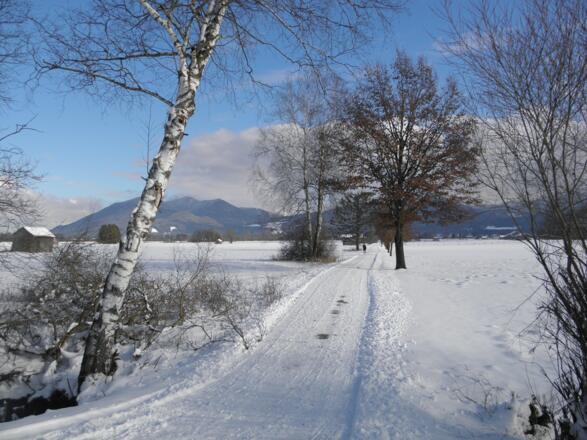 Winterzauber auf dem Moosrundweg zu Benediktbeuern, mit Angerlkopf und Fahrtkopf im Hintergrund
