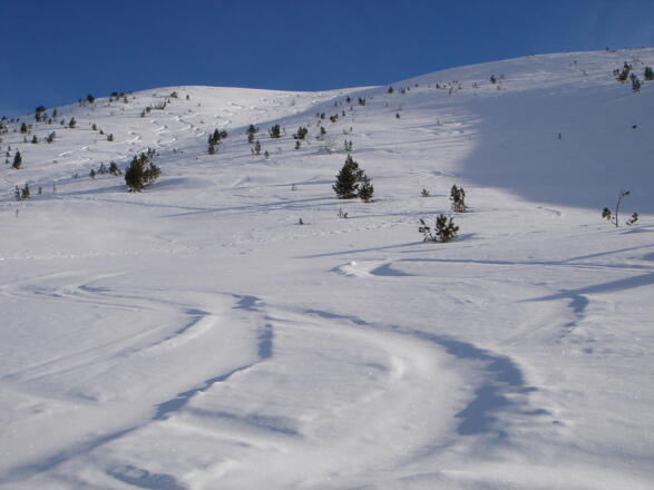 Die Westhänge der Rosaninhöhe