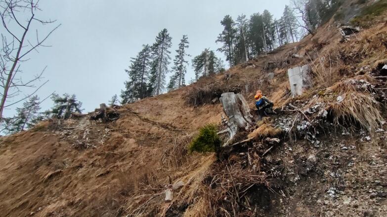 Kraxlerei Verbindungssteig Steinkarlweg