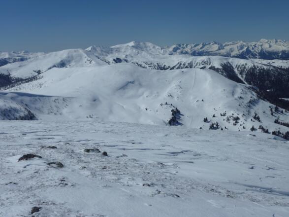 Am Sauereggnock, Blick zum Grünleitennock