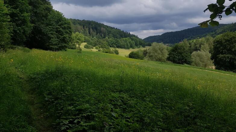 Trubachtal