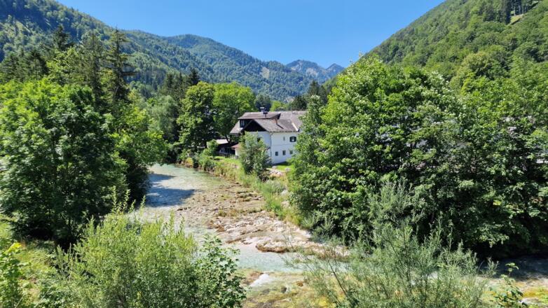 Radweg zum Almsee