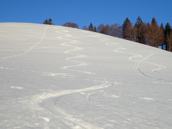 Dezemberfirn
